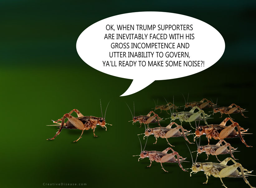 trump supporters comic cartoon